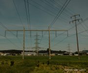 20220515_dco_47376