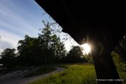 20220529_dco_47775