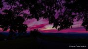 20220529_dco_47795